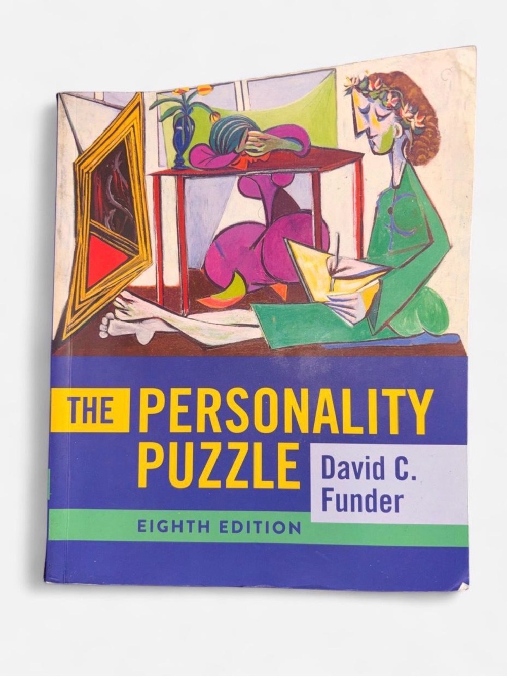 The Personality Puzzle 8th Edition by David C. Funder Textbook